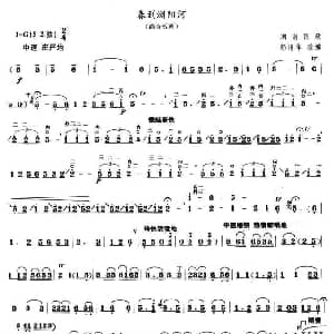 春到浏阳河 高音板胡