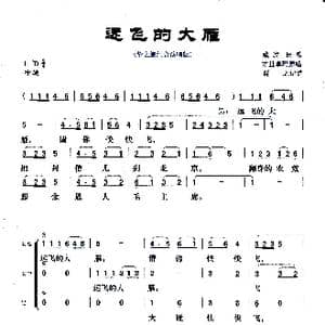 远飞的大雁_歌曲简谱_词曲:藏族民歌 才旦卓玛原唱