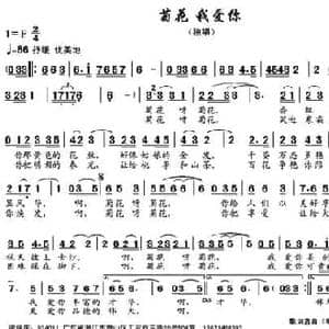 菊花 我爱你_民歌简谱_词曲:梁保庆 陈之洞