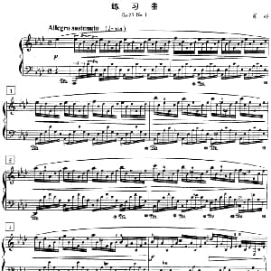 钢琴教程第八级 练习曲 钢琴谱 肖邦