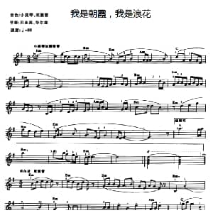 电子琴谱 | 我是朝霞 我是浪花
