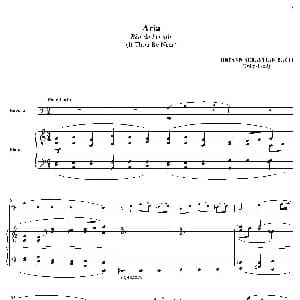 Aria Bist du bei mir 巴松 钢琴伴奏 Johann Sebastian Bach
