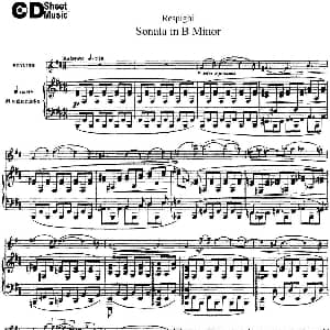 小提琴谱 | Violin Sonata in B Minor 小提琴 钢琴伴奏