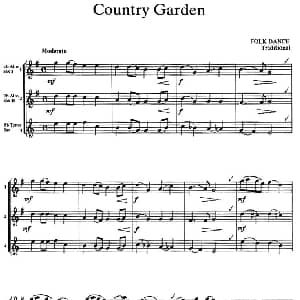 萨克斯谱 | Coumtry Garden 三重奏