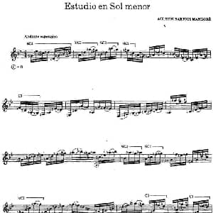 Estudio en Sol menor 吉他谱 奥古斯汀 巴里奥斯 曼戈雷 Agustin Barrios Mangore