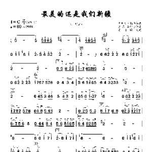 最美的还是我们新疆_歌曲简谱_词曲:赵思思 武布力 托乎提