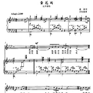 雪花雨_美声唱法乐谱_词曲:杨涛 王钦媛
