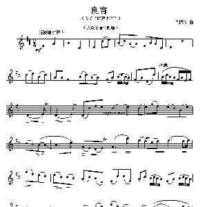 良宵 民乐名曲旋律 五线谱