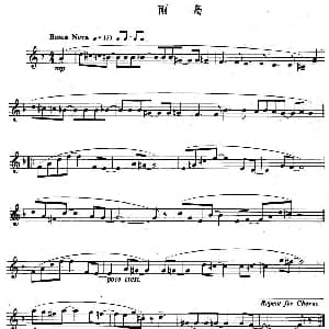 长笛曲谱 | 雨岛