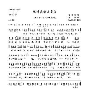 眼睛为你流着泪_歌曲简谱_词曲:张俊英 赵洋