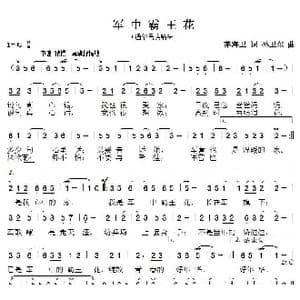 军中霸王花_歌曲简谱_词曲:茅海卫 孙卫东