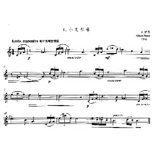 长笛曲谱 | 小艾尔琳 A 彼得