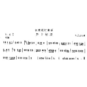 新十杯 云南花灯 中国民族民间舞曲选