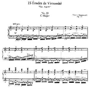 15 Etudes de Virtuosité Op.72 No.10 钢琴谱 莫什科夫斯基