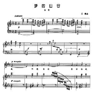 梦的山谷_美声唱法乐谱_词曲: 王鹏