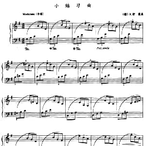 小练习曲 钢琴谱 德 R 舒曼