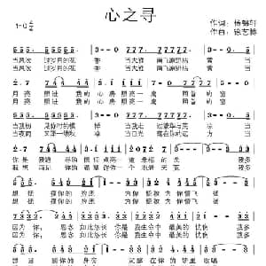 心之寻_通俗唱法乐谱_词曲:杨锦轩 徐艺博