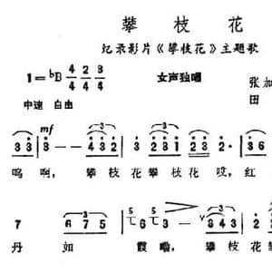 攀枝花_民歌简谱_词曲:张加毅 宋文法 田联韬