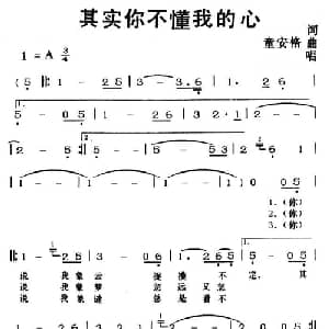 其实你不懂我的心_通俗唱法乐谱_词曲:陈桂珠 童安格