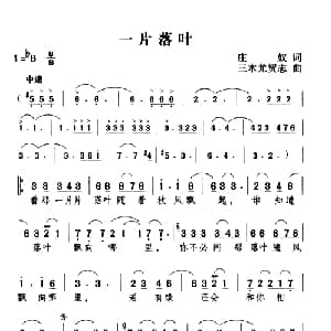 一片落叶_通俗唱法乐谱_词曲:庄奴 三木尤贺志
