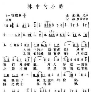 林中的小路_通俗唱法乐谱_词曲:金星 晓光 魏越 罗京京