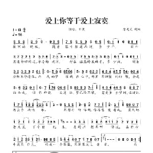 爱上你等于爱上寂寞_通俗唱法乐谱_词曲:徐光义 徐光义