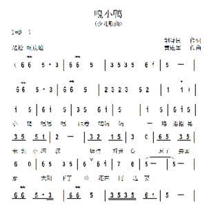 嘎小鸭_歌曲简谱_词曲:胡泽民 黄进军