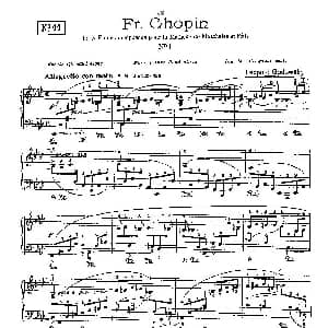 53首以肖邦练习曲为素材而作的练习曲 钢琴谱 里奥鲍尔德 戈多夫斯基