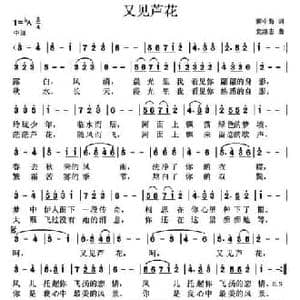 又见芦花_民歌简谱_词曲:蒋中海 党继志