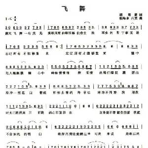 飞舞_通俗唱法乐谱_词曲:胡海泉 胡海泉 吕雯