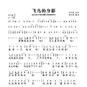 飞鸟的身影_歌曲简谱_词曲:孙世彦 孙世彦