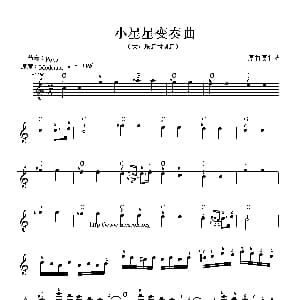 电子琴谱 | 小星星变奏曲 莫扎特曲 大众乐谱制谱版 莫扎特