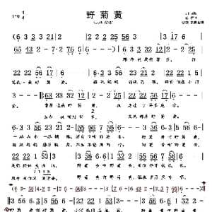 野菊黄_歌谱投稿_词曲:月明 前世