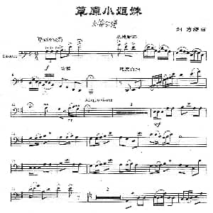 草原小姐妹 大管分谱 刘奇编曲