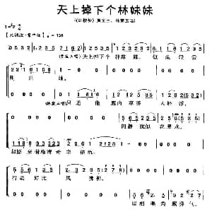 越剧谱 | 天上掉下个林妹妹 红楼梦 黛玉 宝玉唱段