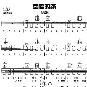 幸福的路 吉他谱 刘若英