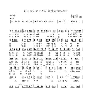 迎着太阳飞_通俗唱法乐谱_词曲:陈雷 遥远