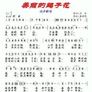 美丽的鸽子花_民歌简谱_词曲:亦云 朱华胜