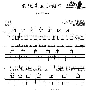 我还有点小糊涂 吉他谱 刘晨