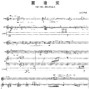 窦娥冤 竹笛 古筝 大提琴及打击乐 王金峰