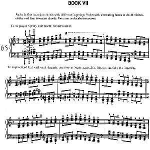 Technical Exercises S.146 钢琴谱 弗兰茨 李斯特