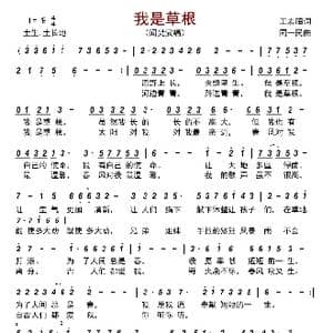 我是草根_歌曲简谱_词曲:王宏昭 同一民