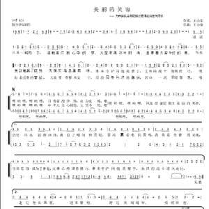 美丽的笑容_歌曲简谱_词曲:王小荣 王小荣