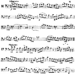 大提琴练习曲 大把位 16—21