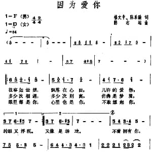 因为爱你_通俗唱法乐谱_词曲:楼文中 陈乐融 陈志远