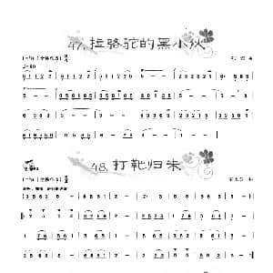 葫芦丝谱 | 葫芦丝曲精选 拉骆驼的黑小伙 打靶归来 我们的田野 王甲坤 王甲华编著