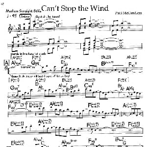 Can't Stop the Wind 钢琴谱