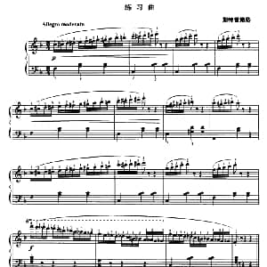 斯特雷鲍格练习曲 钢琴谱 斯特雷鲍格