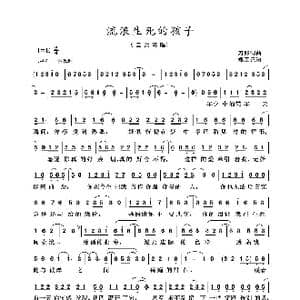 流浪生死的孩子_歌曲简谱_词曲:刀郎 刀郎