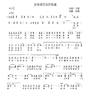 梦里感受你的温柔_通俗唱法乐谱_词曲:李翼 李翼